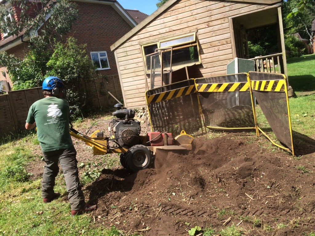 Man using a stump grinder to remove a tree stump