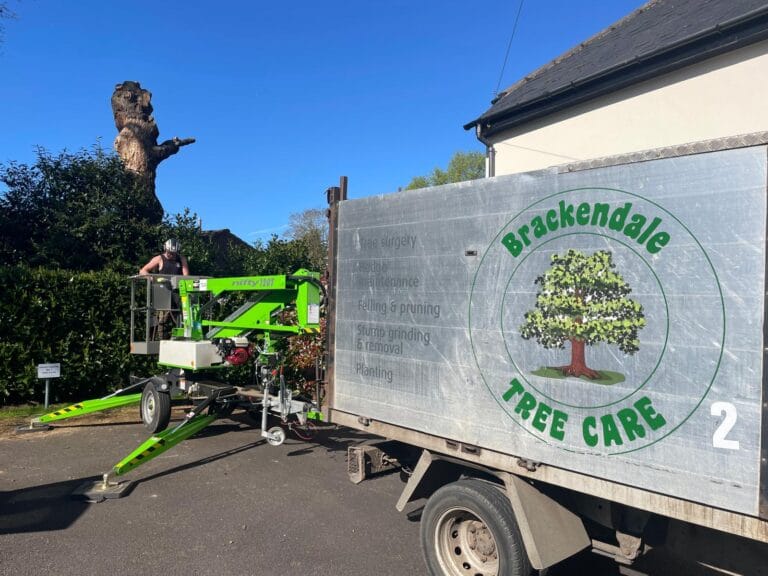 Serving Surrey, Hampshire and Greater London, Brackendale Tree Care delivers dependable tree care services backed by experience and professional standards.