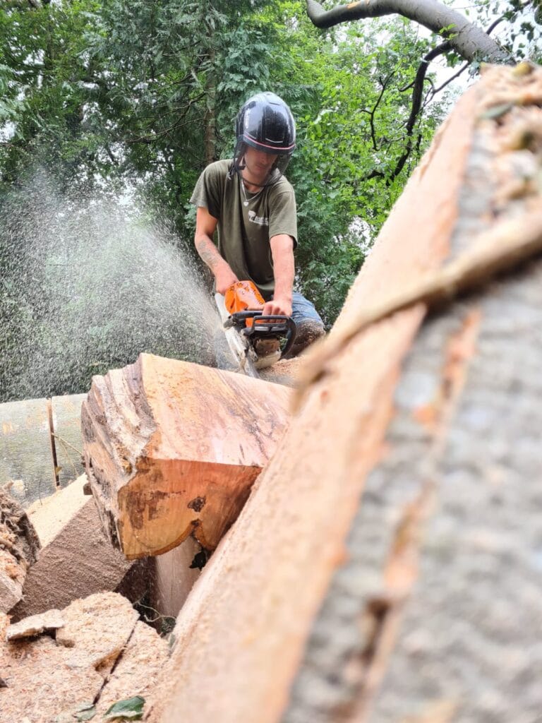 Brackendale Tree Care offers expert tree and hedge care solutions tailored to domestic and commercial properties across Surrey, Hampshire and Greater London.